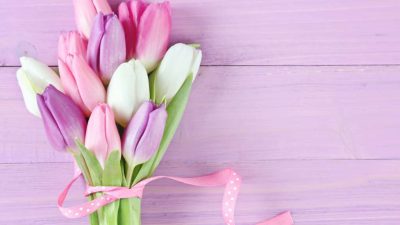 Makna Bunga Tulip Bagi Pasangan Anda